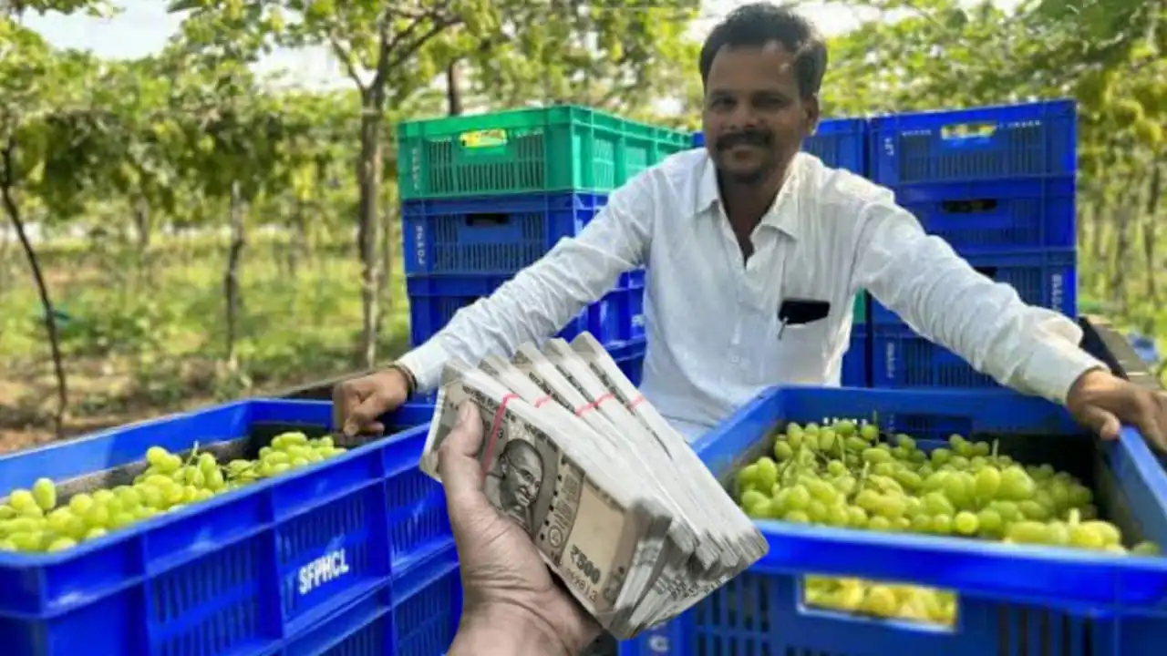 government will pay money in mega scheme if you do these business